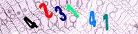 Blue Captcha Image