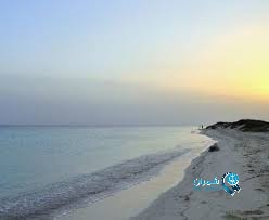 صحيفة شمران سواحل وجزر غادة الجنوب